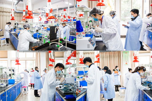 2022年省職業院校技能大賽高職生物與化工類化學實驗技術項目在我校圓滿舉行，聚焦生物化工產品技術研發
