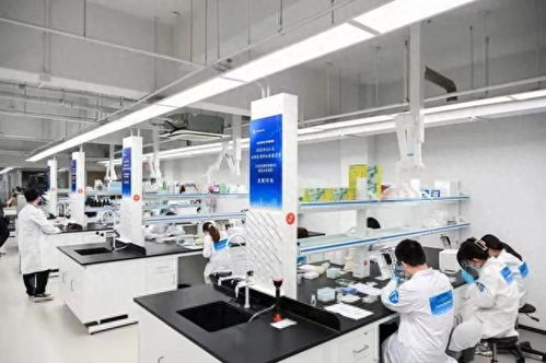 2023年寶山區生物醫藥職業技能競賽個人決賽 聚焦生物化工產品技術研發，激發行業創新活力